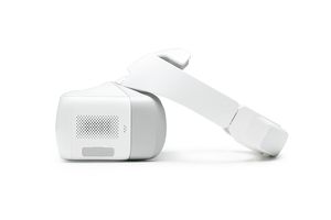 DJI - Goggles